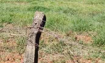 Imagem 6: Terreno à venda em Araraquara, Jardim Brasília (Vila Xavier