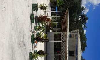 Imagem 14: Sitio Estrada Novo Airão km 44