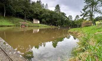 Imagem 7: Terrenos com espaço para piscina e área verde perfeito para relaxar!