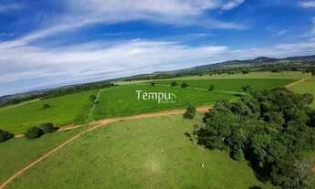 Imagem 6: Fazenda 3 alqueires em Anicuns - Excelente para plantio