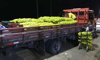 Imagem 7: Fazenda na PISTA da BR174, KM 57 com 10.360.000m2. Benfeitorias. 25 hectares de Areal. Doc