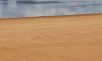 Imagem 3: ÁREA NO MANSO Terreno / lote com venda por R$380.000