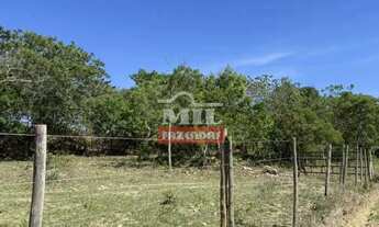 Imagem 3: Chácara 2 alqueires (9,68 hectares) Vianópolis - Go