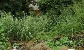 Imagem 6: Terreno com 456m2 a venda no Santinho - Florianópolis/SC