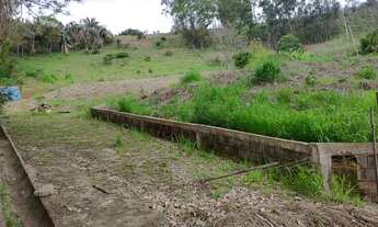 Imagem 5: Chácara no bairro Inácio Martins, Viçosa-MG
