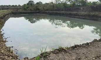 Imagem 3: CHÁCARA EM GOIANIRA