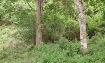 Imagem 7: Vende -se chácara de 2/70 alqueires, no município de Petrolina