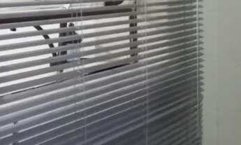 Imagem 5: Apartamento térreo