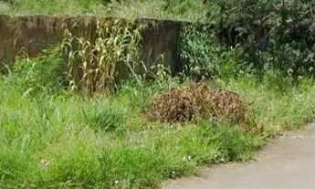 Imagem 5: TERRENO - Terreno Residencial