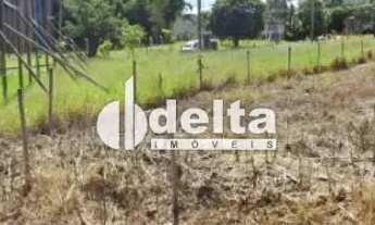 Imagem: Terreno disponível para venda no bairro