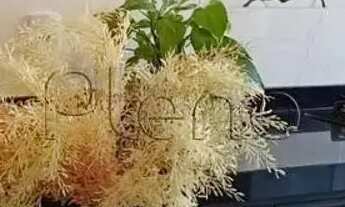 Imagem 5: Sobrado à venda em Indaiatuba, Jardim Paulista I, com 2 quartos, com 130 m²