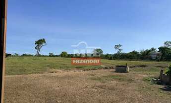 Imagem 6: Chácara 2 alqueires (9,68 hectares) Vianópolis - Go