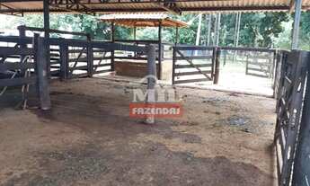 Imagem 3: Chácara 9,5 alqueires (46 hectatres) Trindade - Go