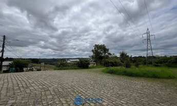 Imagem 7: Terreno RS122 com 29.096m² saida para Flores Cunha