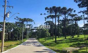 Imagem 6: Terreno JARDIM MARIANA CANELA