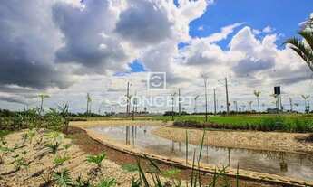 Imagem 6: TERRENO DE 300 M² NO FLORAIS CHAPADA - VENDA