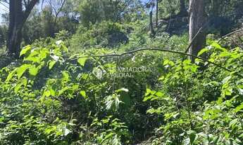 Imagem 3: Loteamento Bosque das Araucárias - Linha Imperial