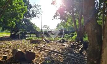 Imagem 2: Sitio com otima oportunidade de produtividade e lucratividade . codigo: 74117