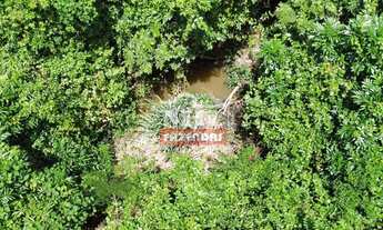 Imagem 4: Chácara 7,3 alqueires (35,33 hectares) Professor Jamil - Go