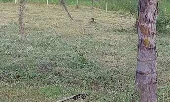 Imagem 5: Terreno de 2.347 m² em área turística ( Altinópolis