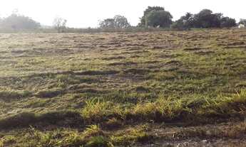 Imagem 2: Fazenda/Sítio/Chácara para venda tem 5000 metros quadrados