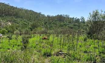 Imagem: Lançamento imperdível! Garanta seu terreno