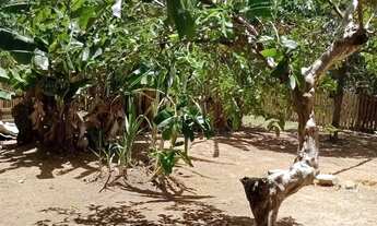 Imagem 2: ? chácara com Localização privilegiada que une tranquilidade e fácil acesso a serviços