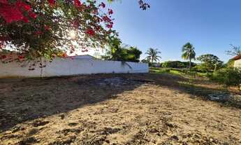 Imagem 4: Terreno de 1.600,00m2, povoado Céu, Praia do Peba, Piaçabuçu, Alagoas
