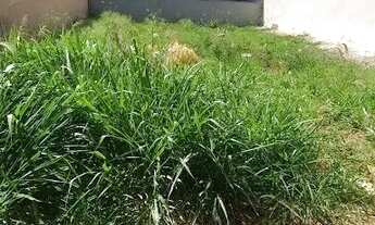 Imagem 4: Terreno à venda, com 300m², no Portal da Mata em Ribeirão Preto/SP I Imobiliária Brioni im