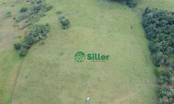 Imagem 6: Área de 5 hectares a venda a 4,5 km da 020