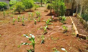 Imagem 7: Imóvel para venda tem 1000 metros quadrados em Setor Matinha - Senador Canedo - GO