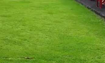 Imagem 6: Vendo ou Troco Pousada em Marudá