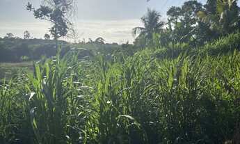 Imagem 3: Terreno 1350m2 em rua asfaltada
