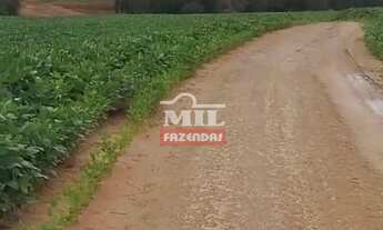 Imagem 3: Fazenda 362 alqueires (1.750 hectares) Doverlândia - Go