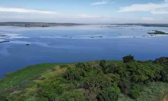 Imagem 4: Fazenda de cana 140 alqueires Região de Piracicaba SP