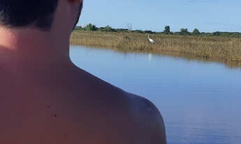 Imagem 4: Casa para diaria, festas diurnas e Final de Semana. Interlagos/Morada do Sol