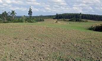 Imagem 5: Fazenda de 63ha, ótima para plantio, com várias nascentes em Otacílio Costa