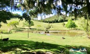 Imagem: Sítio com 8,5ha de encher os olhos, em