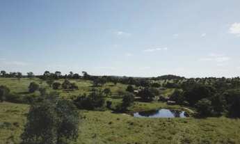 Imagem 2: 117 alqueires em Goias Velho-Go
