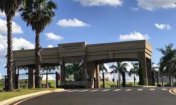 Imagem 15: Terreno Alto do Castelo