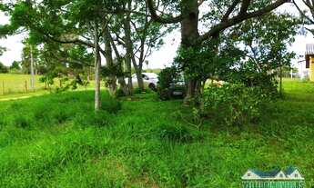 Imagem 6: Sítio com casa de alvenaria em rua sem saída, perto asfalto, Águas Claras