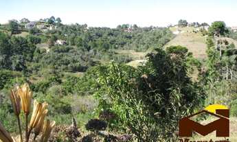 Imagem 5: Chácara com nascentes dentro da cidade