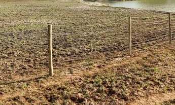 Imagem 4: 392 alqueires em Nova Crixas-Go