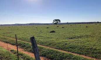 Imagem: Fazenda de 280 alqueires