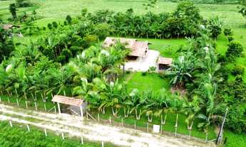 Imagem 2: Ótima chácara a venda em Canelinha SC!!!