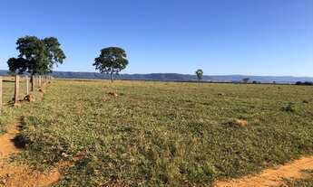 Imagem 7: Fazenda de 280 alqueires
