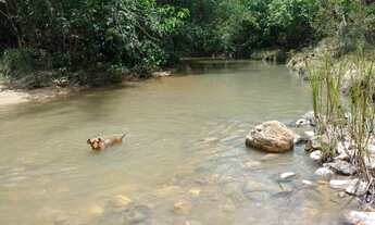 Imagem 4: 69 alqueires beira rio em Goias velho-Go