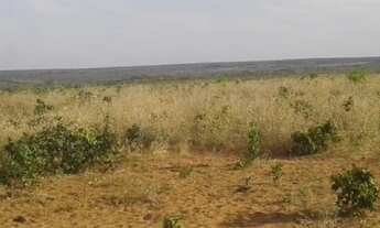 Imagem 7: Fazenda em Almas-TO. 28 mil por alqueire