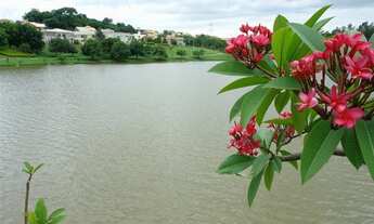 Imagem 6: Terreno - Alphaville Campinas - Campinas