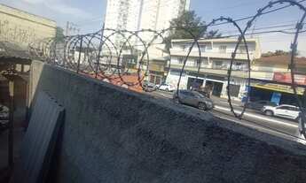 Imagem 5: SÃO PAULO - Terreno Padrão - PIRITUBA